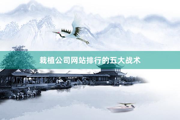 栽植公司网站排行的五大战术