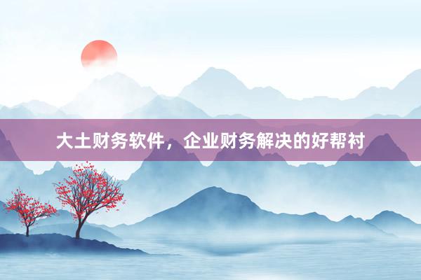 大土财务软件，企业财务解决的好帮衬