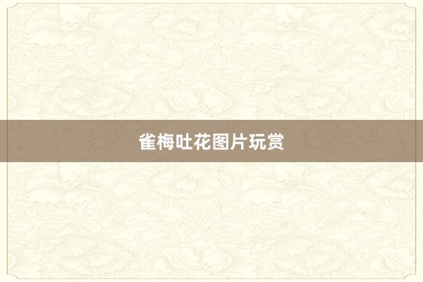 雀梅吐花图片玩赏
